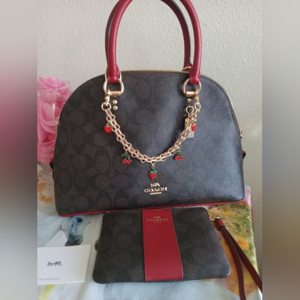 COACH BAG AND WALLET